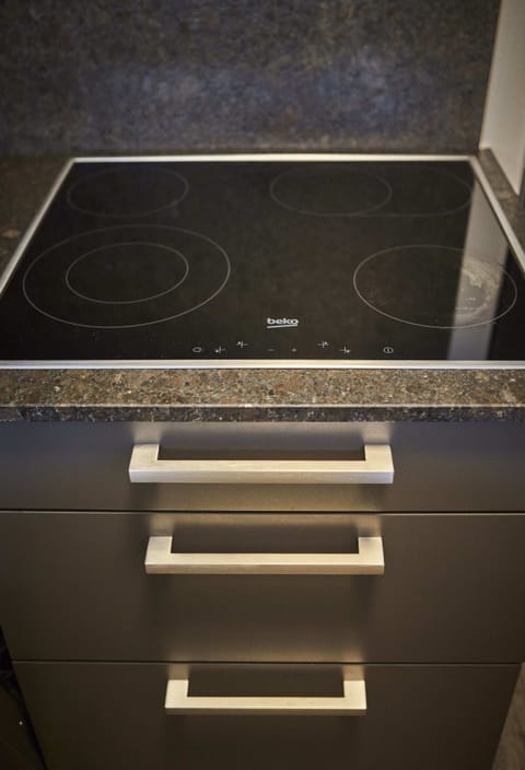 House, 5 Bedrooms, Mountain View (Appartement) | Private kitchen | Full-size fridge, microwave, oven, stovetop