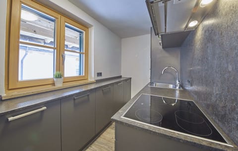 House, 5 Bedrooms, Mountain View (Appartement) | Private kitchen | Full-size fridge, microwave, oven, stovetop