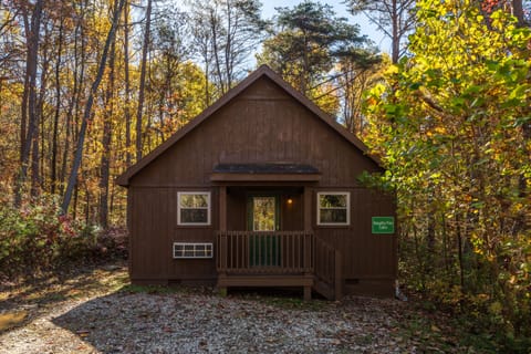 front of the cabin