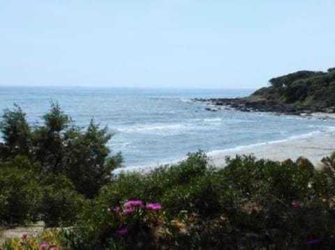 Sea view