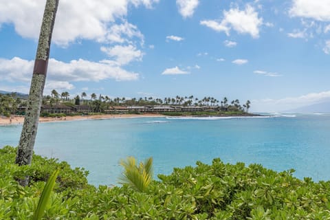 Whether you're looking for a day of adventure or relaxation, Napili Bay offers a perfect blend of natural beauty and recreational activities.