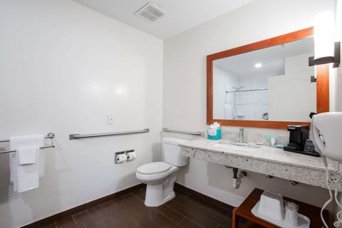 Standard Room, 1 King Bed, Accessible, Non Smoking (with Sofabed) | Bathroom | Shower, free toiletries, hair dryer, towels