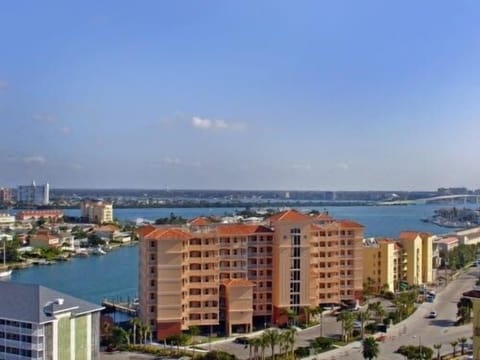 Ariel View 