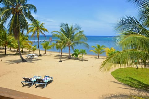 From the deck of the guest house.  The reef and Caribbean Sea right out front.