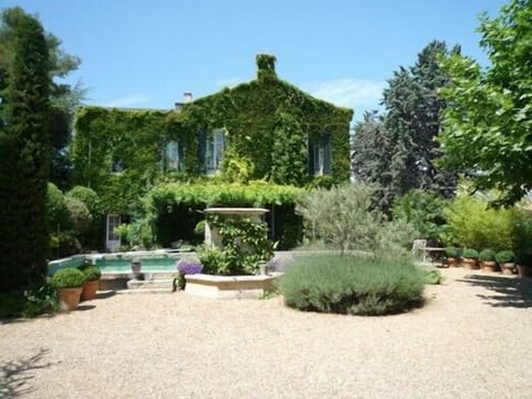 The garden