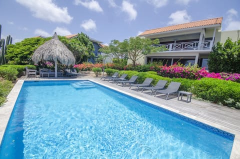 Pool with sun lounges