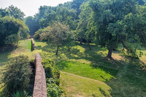 Lovely Orchard Garden