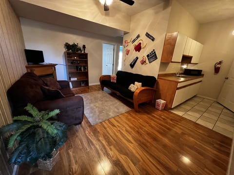 Downstairs livningroom