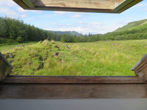 View from upstairs back velux.