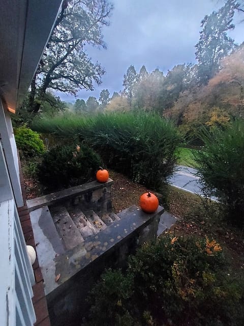 Foggy rainy morning such a beautiful view