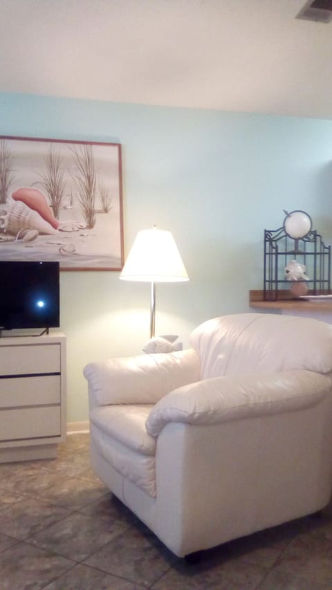 #131 condo living space