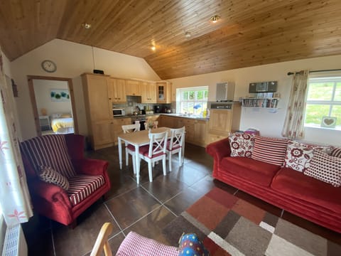 Open Plan Kitchen Living Room