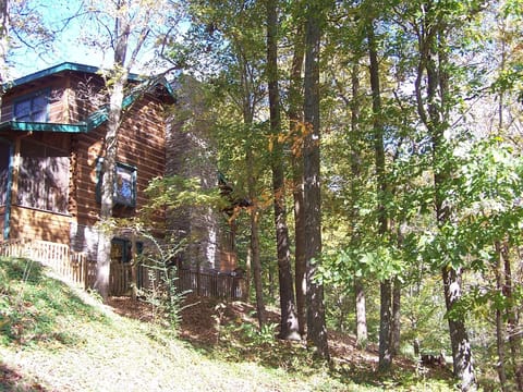 Fall Beauty at Cabin on the Hill