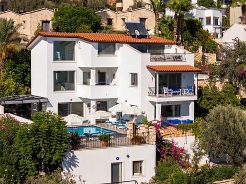Villa Olive aerial view