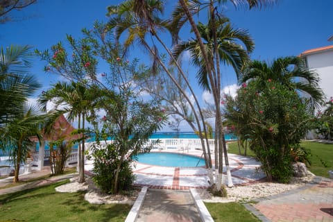 Pool & Ocean View