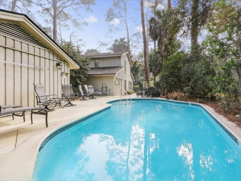 28 Canvasback in Sea Pines
