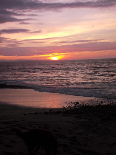 Another Pacific Sunset