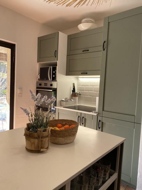 Kitchen microwave, oven and hot plate