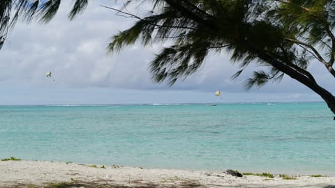 The Beach 