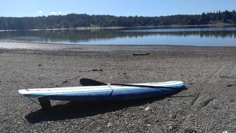 Two paddle boards provided.