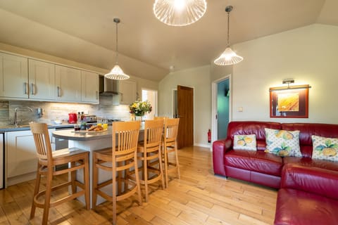 Open plan living area