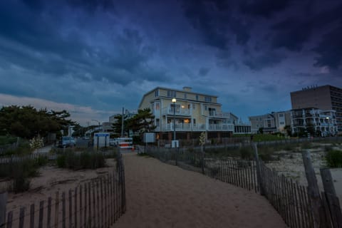 View from the Beach