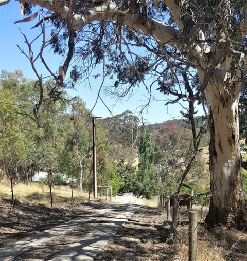 coming down the driveway, YEP you are on the righht track.