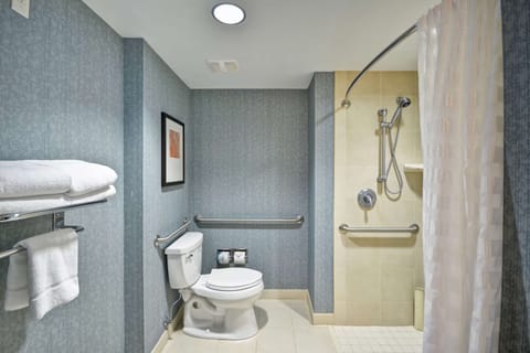 Designer toiletries, hair dryer, towels