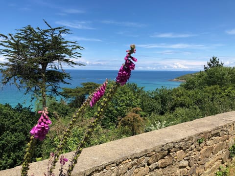 House "La Terrasse de Sophie" sea view in Plougasnou in Finistère House in Plougasnou