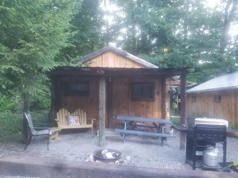 Cabin 4