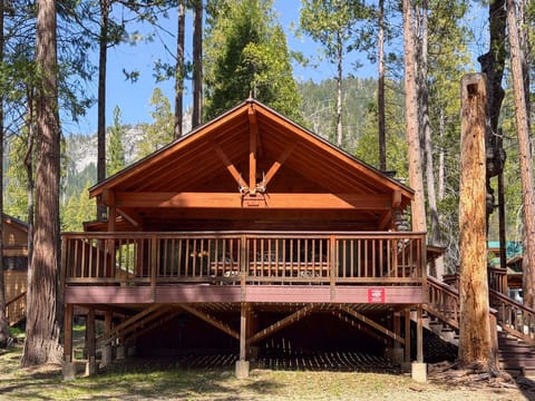 Front of the cabin