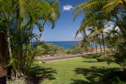 Our beautiful view of the Ocean from our Lanai