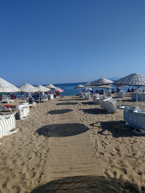 White sand, sun loungers, beach umbrellas, beach volleyball
