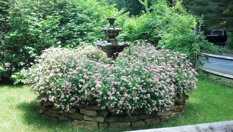 Fountain from Street side 