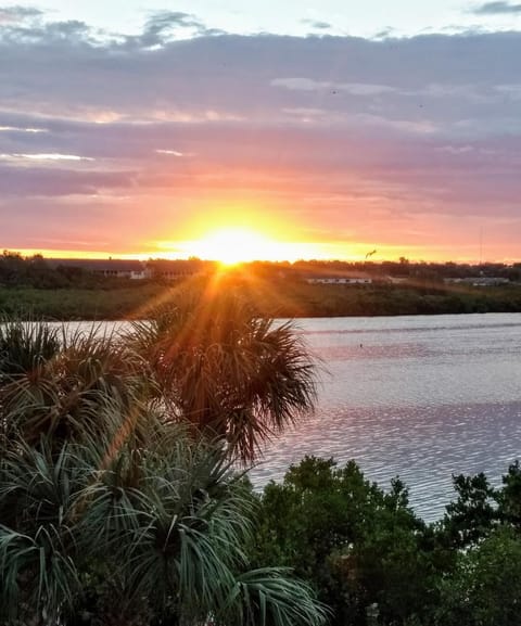 Good Morning....it's going to be another sensational day at the beach!