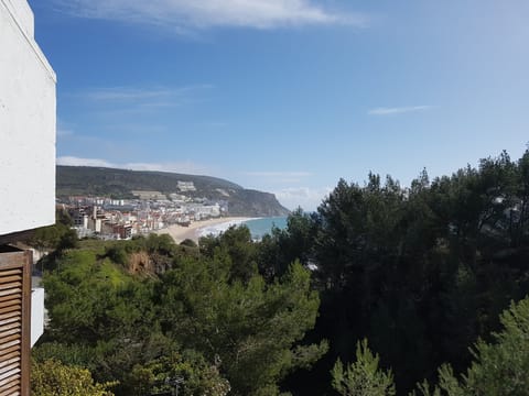 View