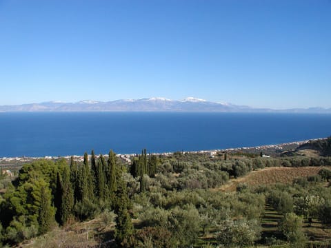 view from the house towards the Corinthian bay and Mount Parnassus