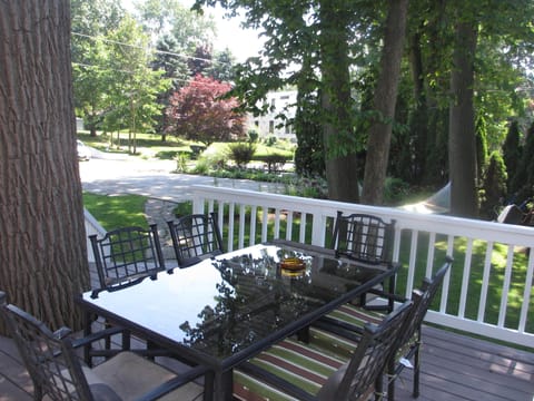 back porch and driveway in the background