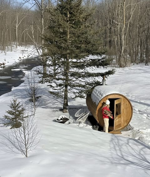 Historic cabin and sauna, nestled along the banks of the Ausable River.