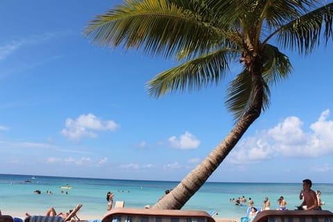 beach view from the lounge chairs
