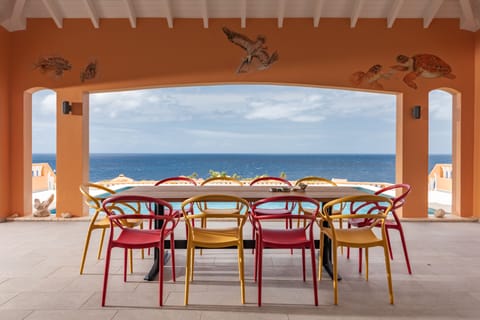 The large terrace with swimming pool and ocean view