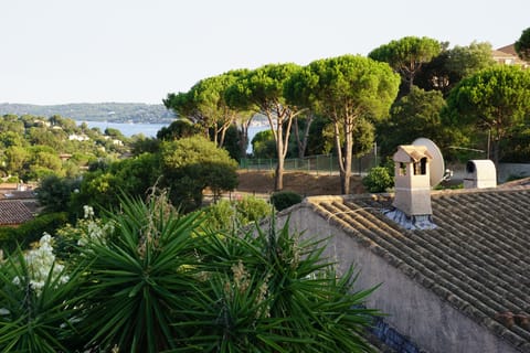 St Tropez peeping through the trees