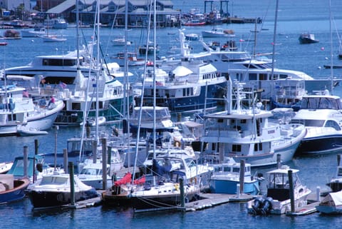 This is a shot of a packed marina out towards the mouth of Somes Sound 