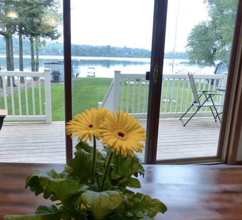 Green space with fire pit, grill, and dock for fishing or swimming off of it! 