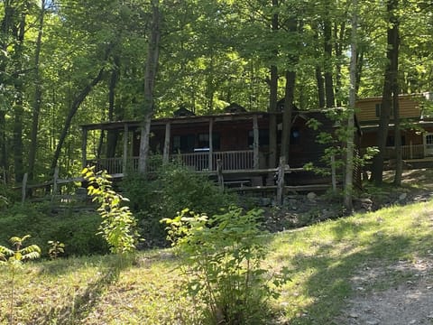 Cabin 6 is perhed on the hillside c an leep 6 guests!