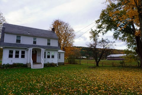 Beautiful Fall foliage at the house