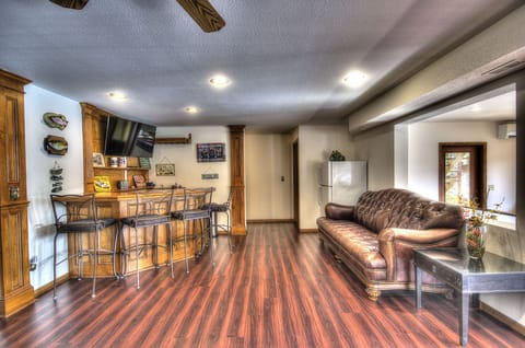 Lower level bar with TV