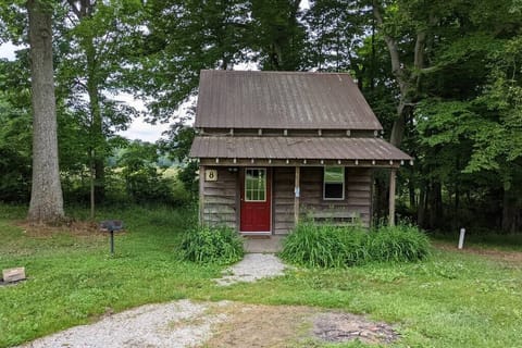 Cabin 8 