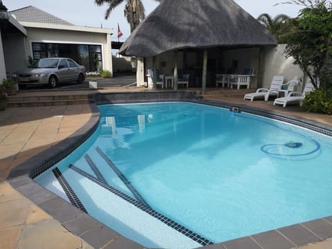 Outdoor pool, sun loungers