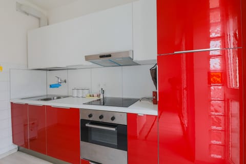 Apartment, 1 Bedroom | Private kitchen | Fridge, oven, stovetop, cleaning supplies